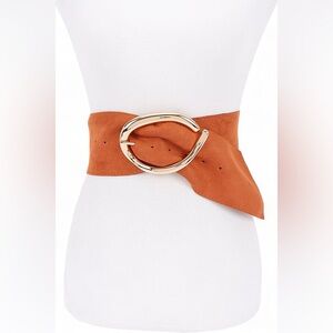 Vegan Suede Wide Waist Statement Belt with Gold Metal Buckle